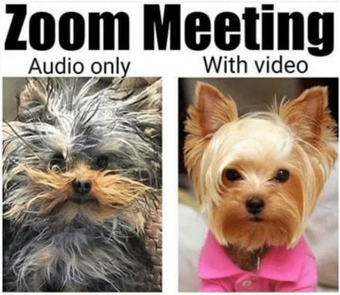 Zoom Meeting - Reality Dog Meme