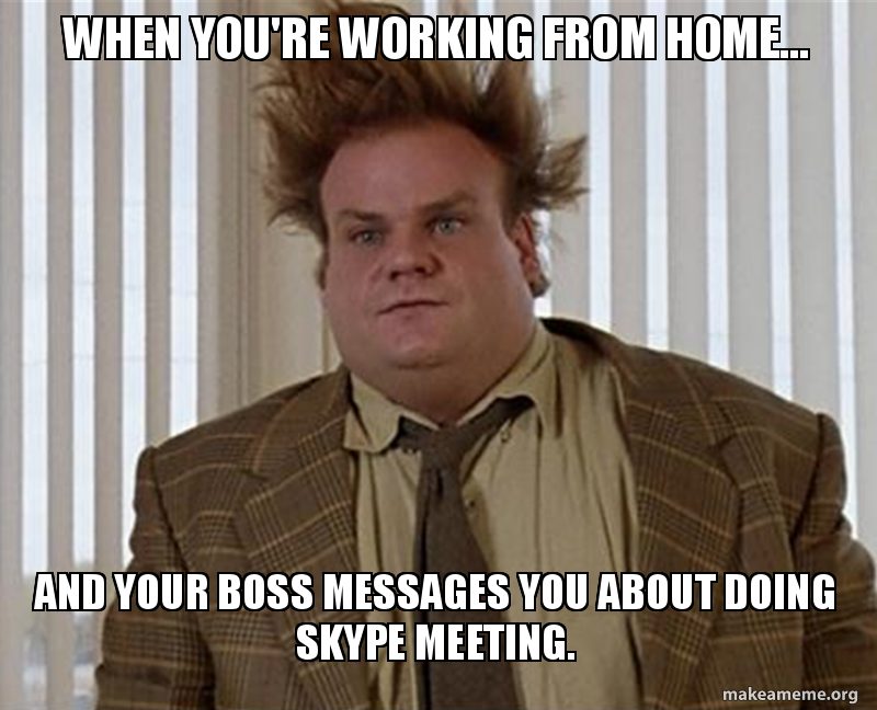 Work from home conference call meme